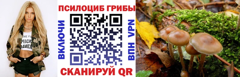 Псилоцибиновые грибы мухоморы  Лукоянов 
